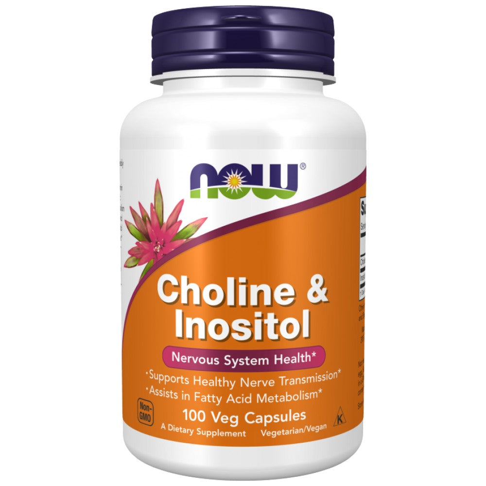 Choline & inozitol 500 mg - 100 kapsula