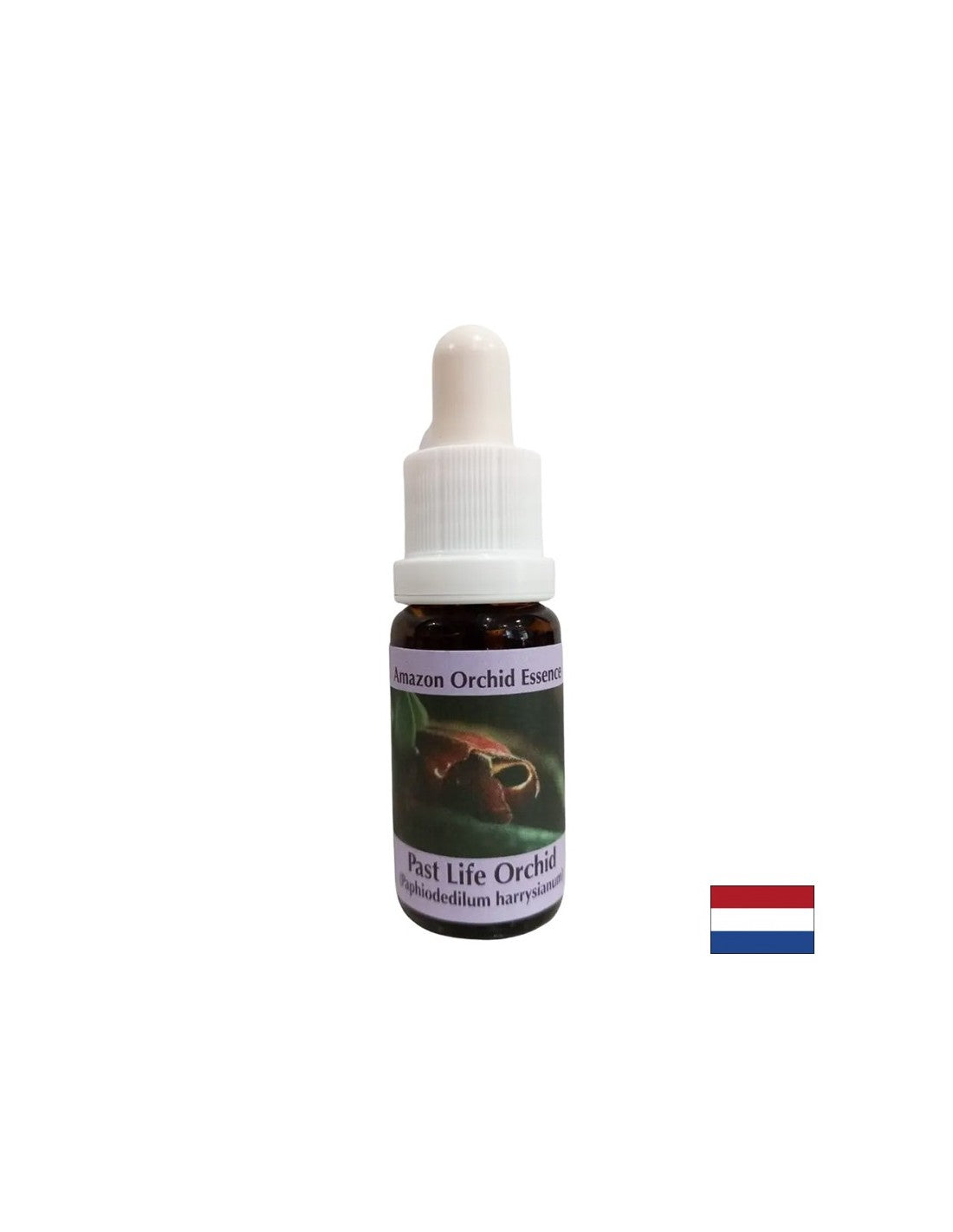 Osvještavanje sadašnjosti kroz lekcije prošlosti - Past Life Orchid Essence br. 16, kapi 15 ml