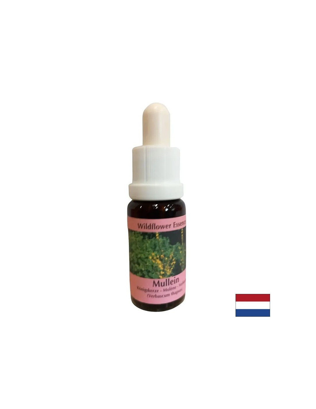 Podržava timski rad i kreativnost - Lopen Essence br. 29, kapi 15 ml