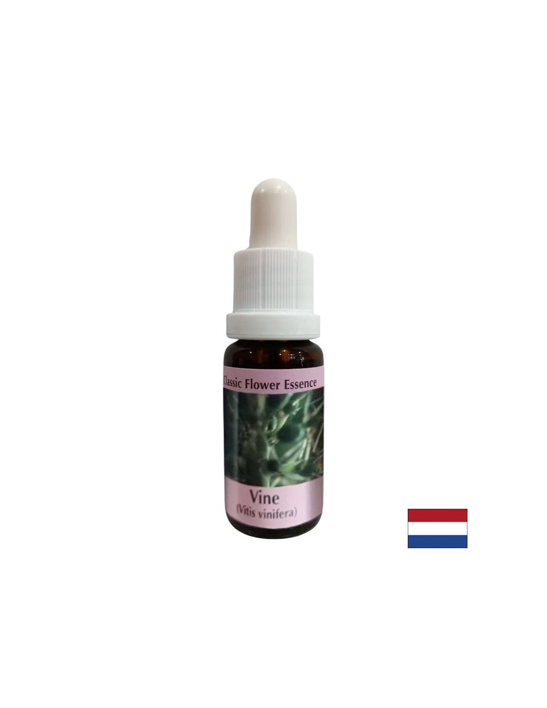 Za kontrolu sebičnosti - Esencija grožđa br. 32, kapi 15 ml