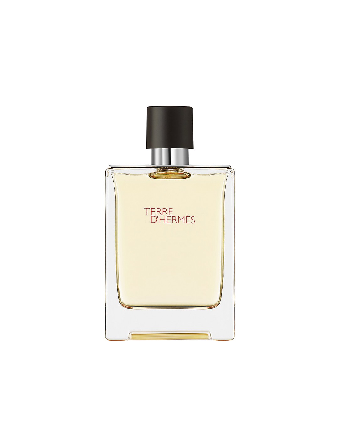 Hermes terre d'Hermes eau de toaletni sprej 100ml