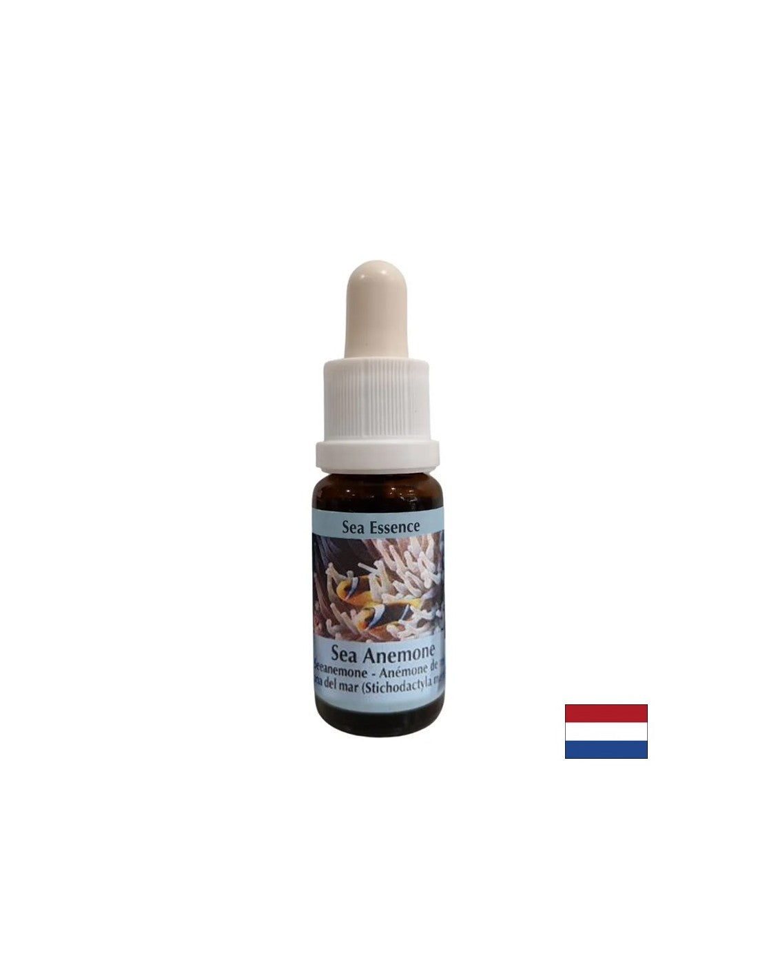 Jača koheziju i jasnoću pri odabiru partnera - Sea Anemone Essence br. 6, kapi 15 ml