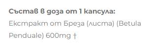 Ekstrakt breze 600 mg - 60 kapsula