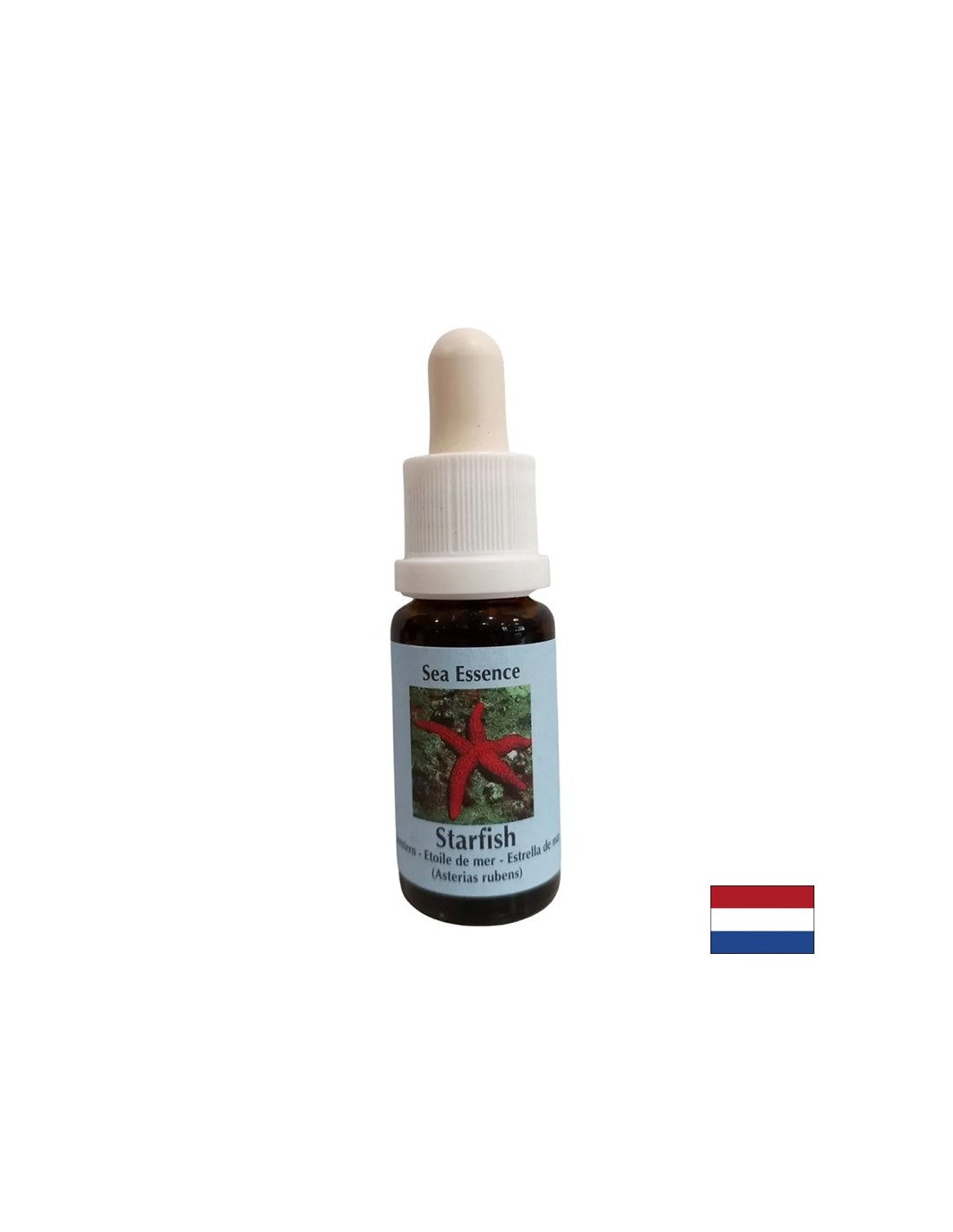 Poboljšava komunikaciju - Starfish Essence br. 9, kapi 15 ml