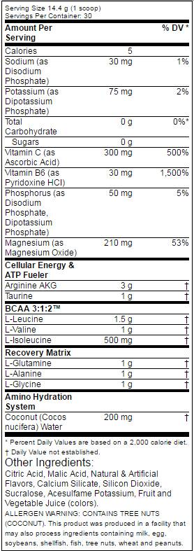 Amino 1 Hydrate + Recover 432 grama