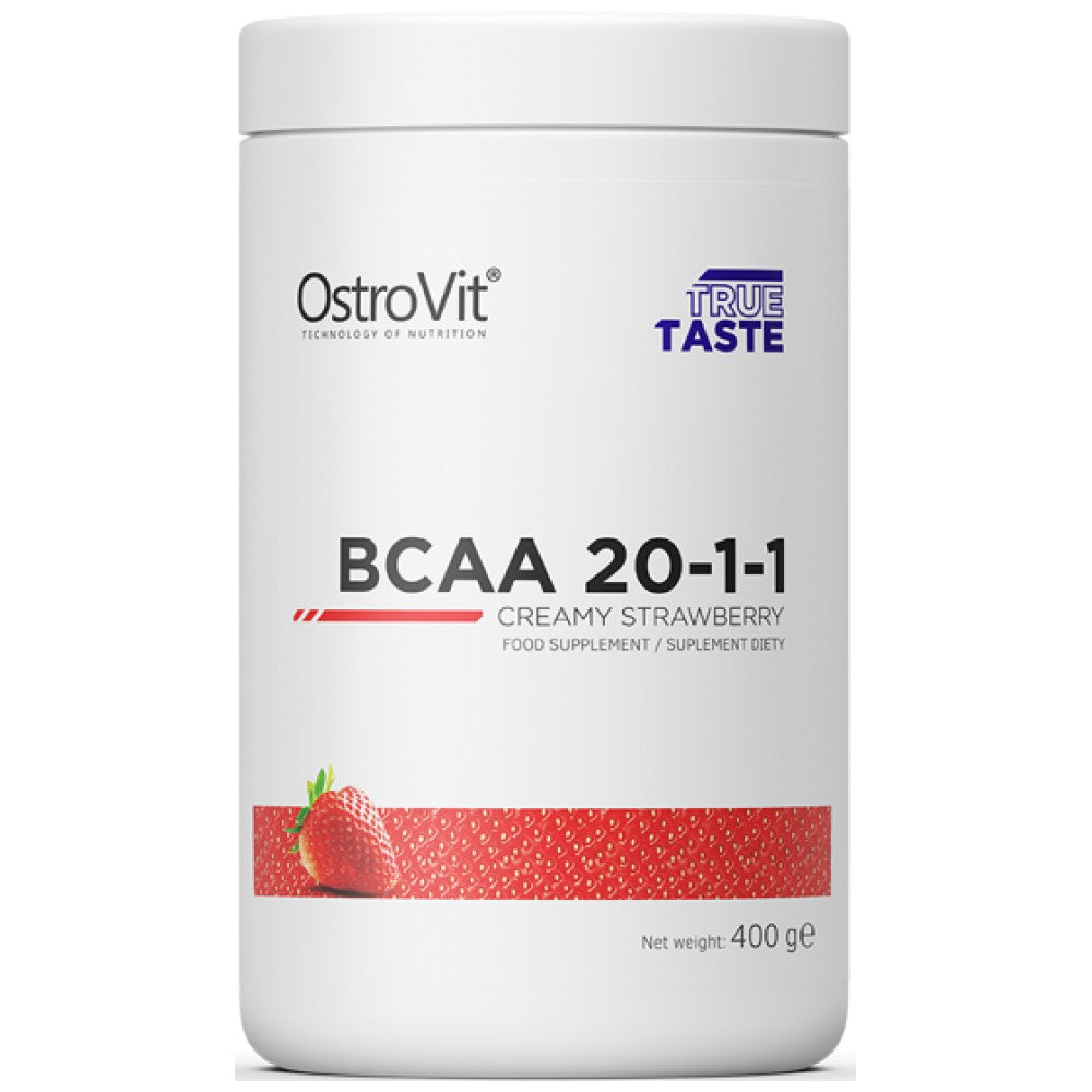 BCAA 20:1:1 400 grama