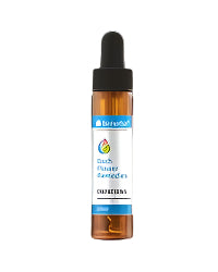 Bachove kapi IMPATIENS 20 ml