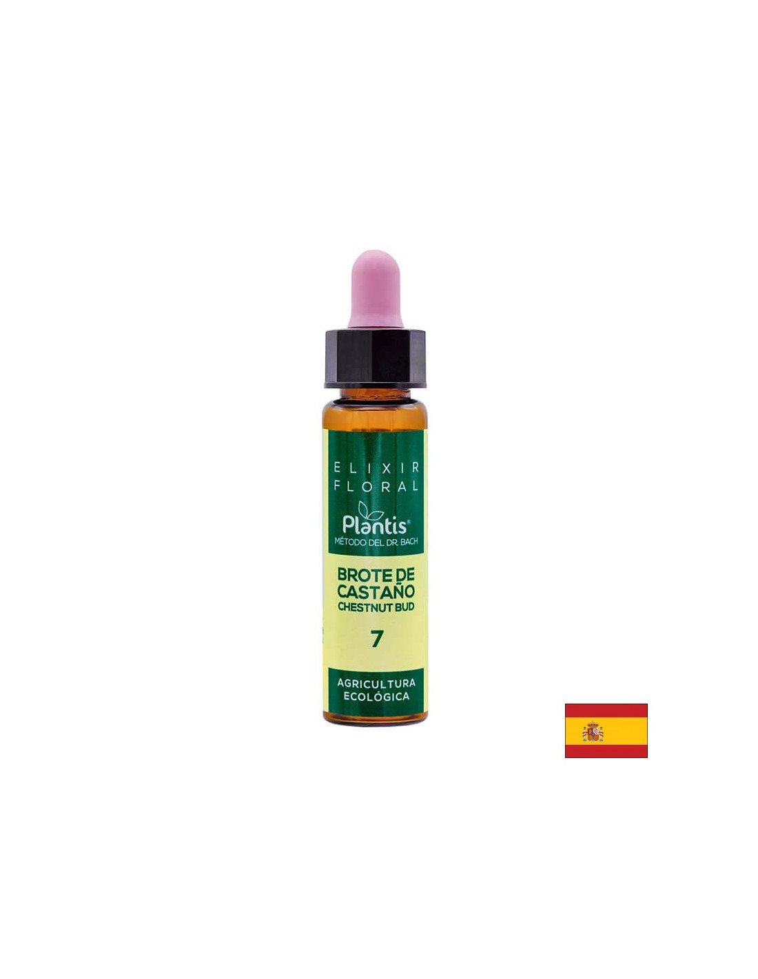 Brote de castaño (Chestnut but) Elixir Floral 7 - Eliksir cvijeta pupoljka kestena, 10 ml Arte<tc>san</tc>ija