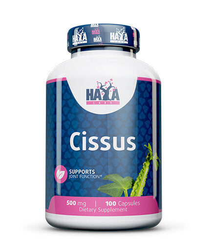 Cissus 500 mg/100 kap