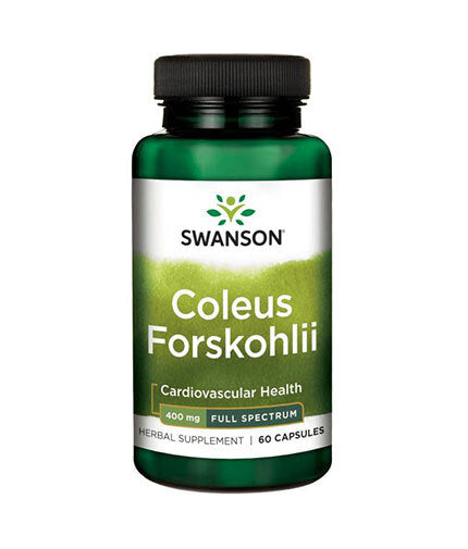 Coleus Forskohlii/Forskolin 400 mg - 60 kapsula