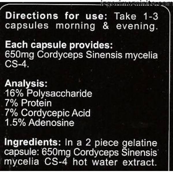 Cordyceps CS-4 90 kapsula