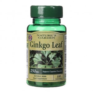 Ginko Biloba 250 mg 120 tableta NIZOZEMSKA & BARRETT