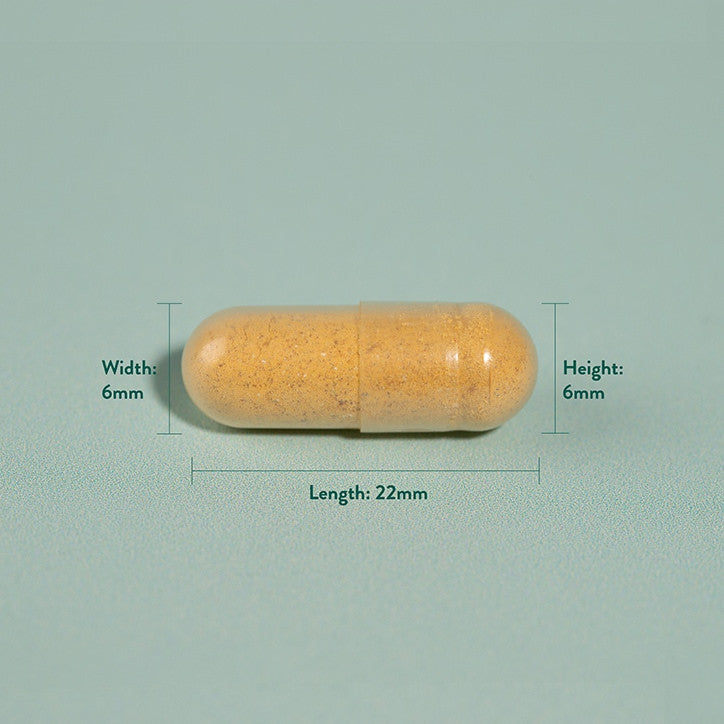 Kurkuma 500 mg 90 kapsula HOLLAND & BARRETT
