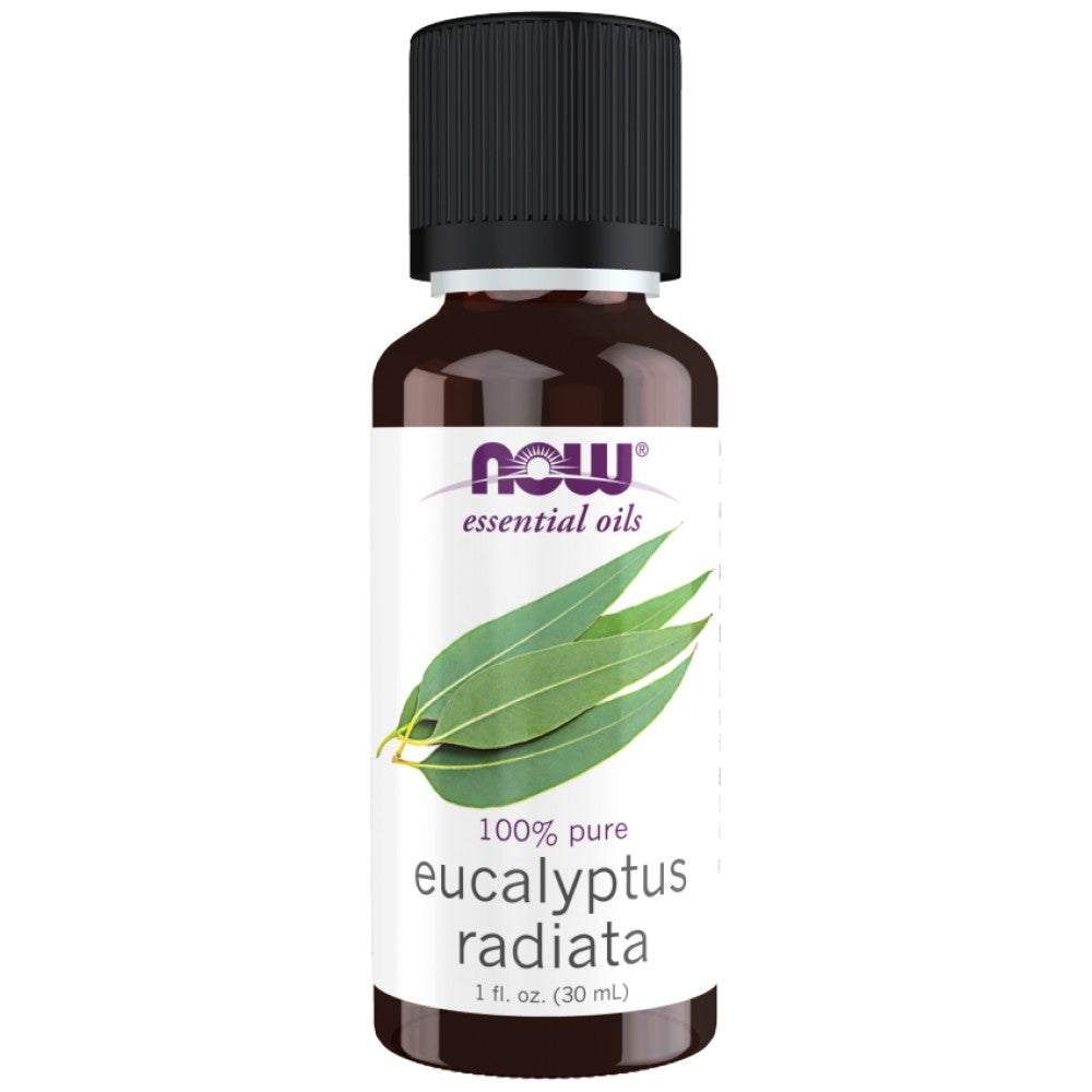Ulje eukaliptusa Radiata | 100% čisti Eucalyptus Radiata - 30 ml