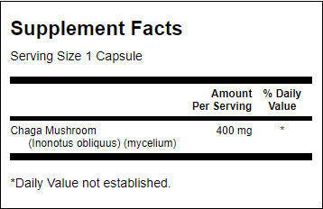 Chaga gljiva punog spektra 400 mg - 60 kapsula