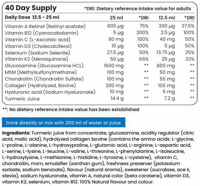 Glucosamine MAX with collagen type 2, MSM, Chondroitin (40/20 doses, 500 ml) - Nutra Best Europe