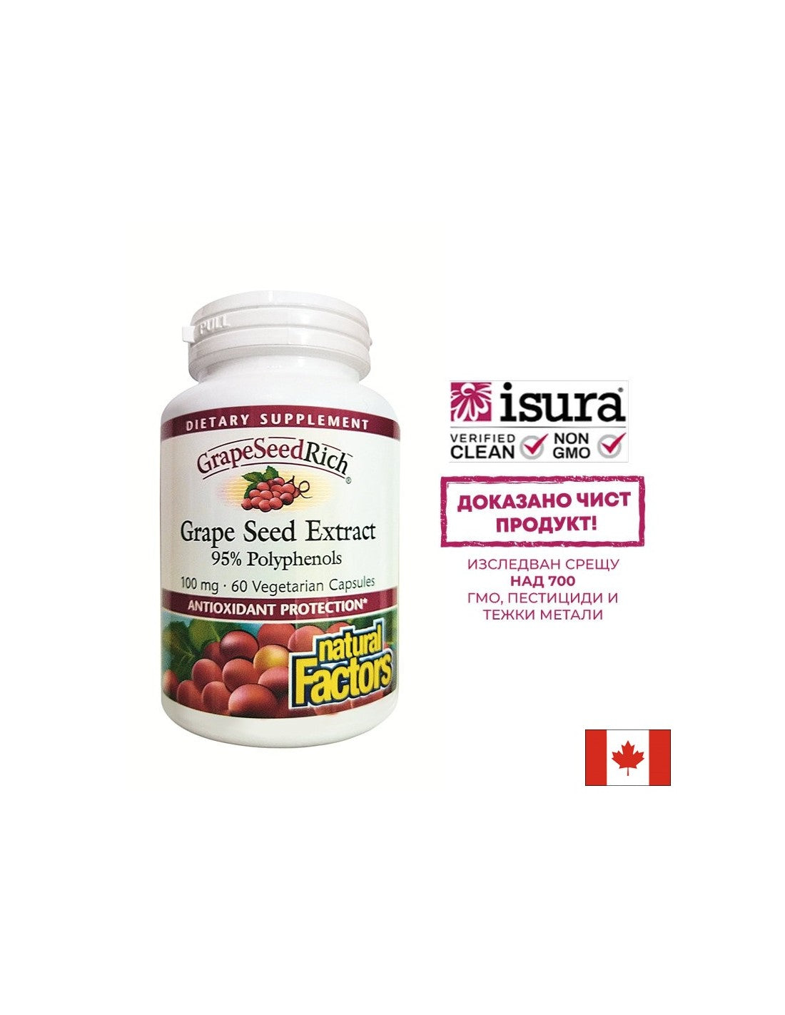 GrapeSeedRich | Ekstrakt sjemenki grožđa 100 mg - 60 kapsula