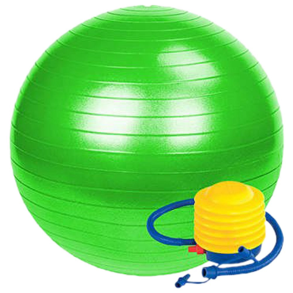 Gimnastička švicarska lopta 65 cm/Gimnastička švicarska lopta s pumpom 65 cm 65 cm