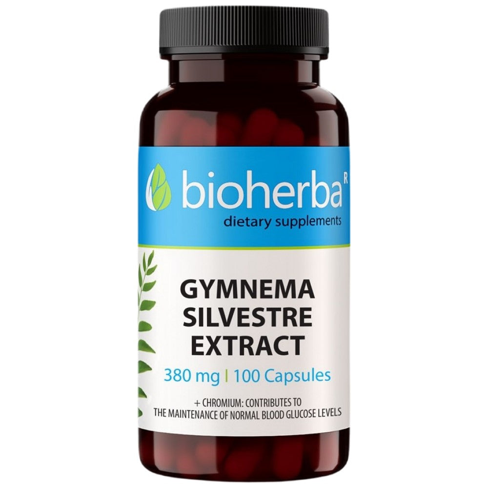 Gymnema Sylvestre Extract 380 mg - 100 kapsula