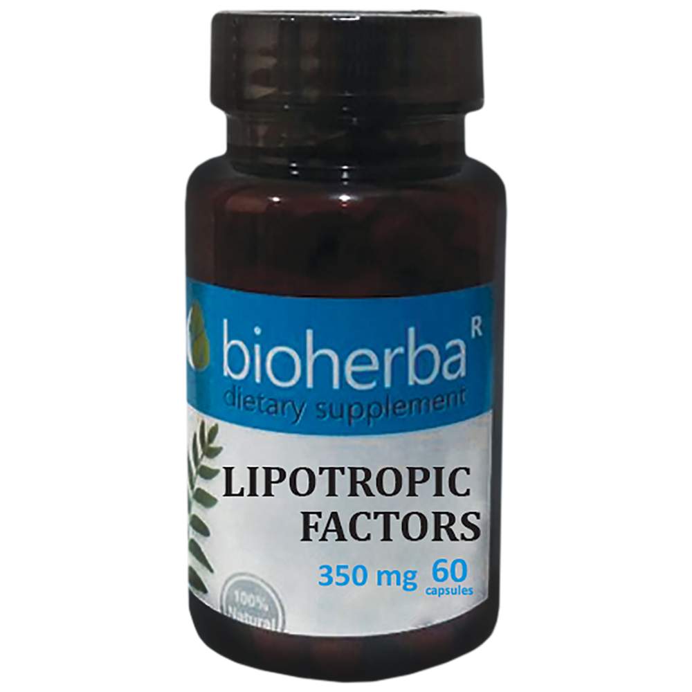 Lipotropni faktori 350 mg - 60 kapsula