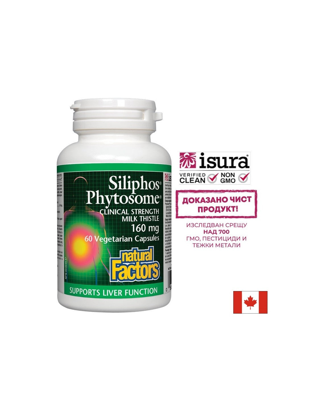 Premium Milk Thistle/Siliphos Phytosome 160 mg - 60 kapsula