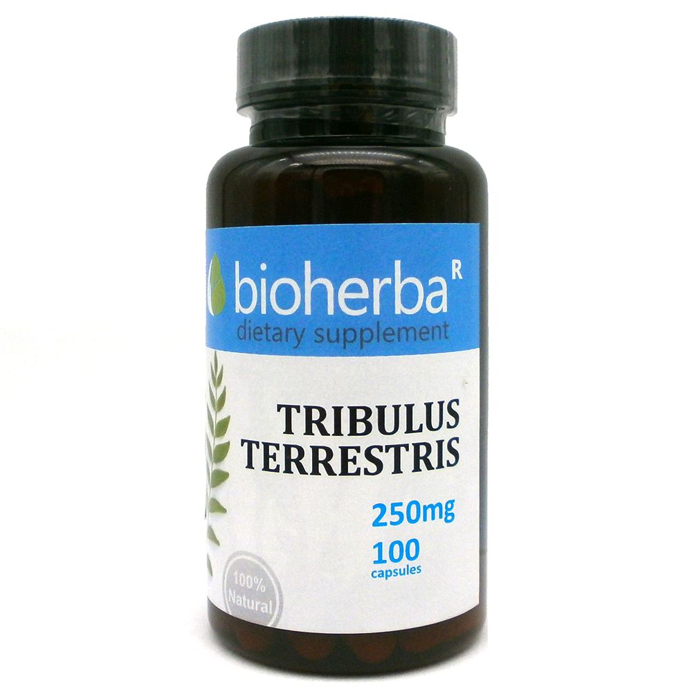 Tribulus Terrestris 250 mg - 100 kapsula