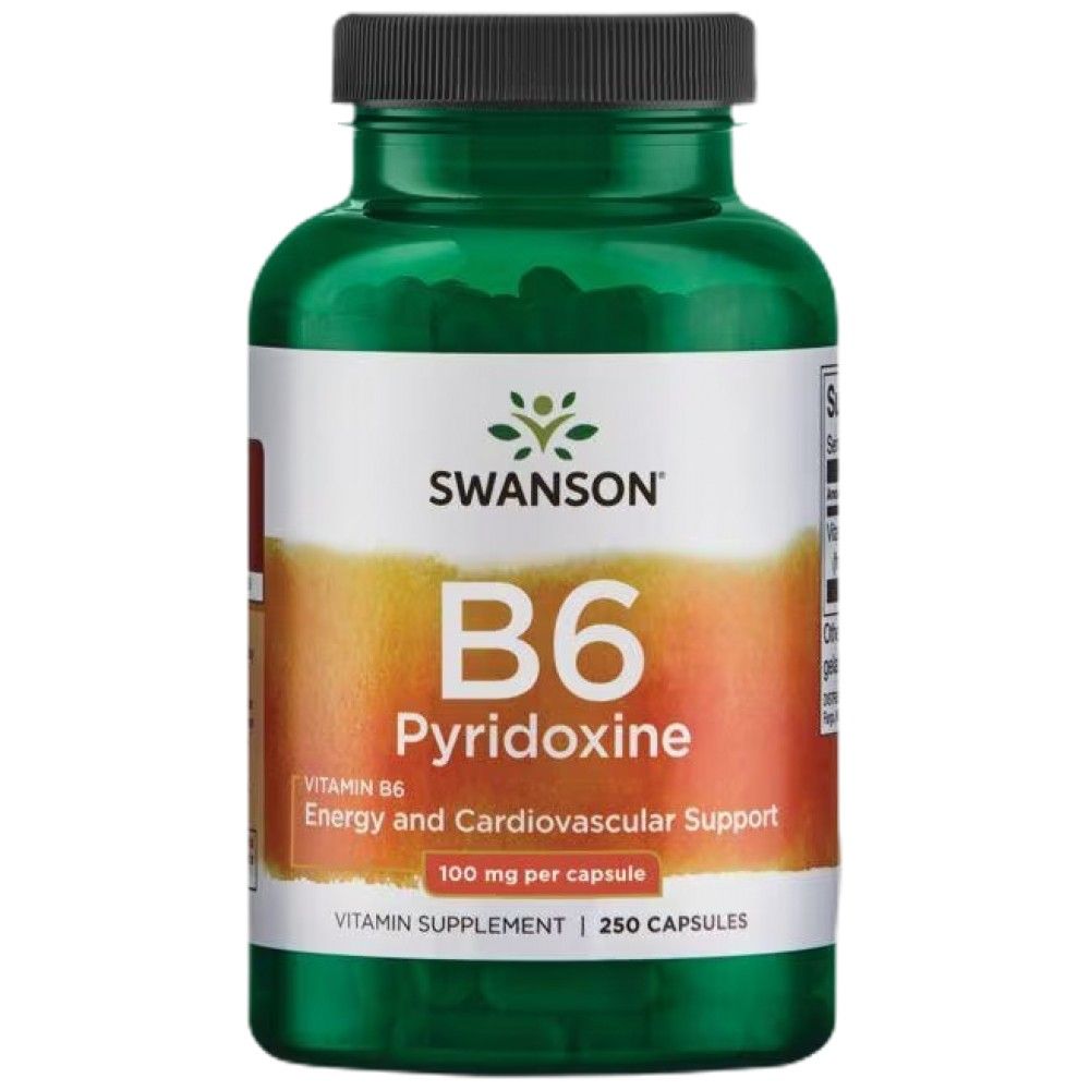 Vitamin B6 100 mg / piridoksin - 250 kapsula