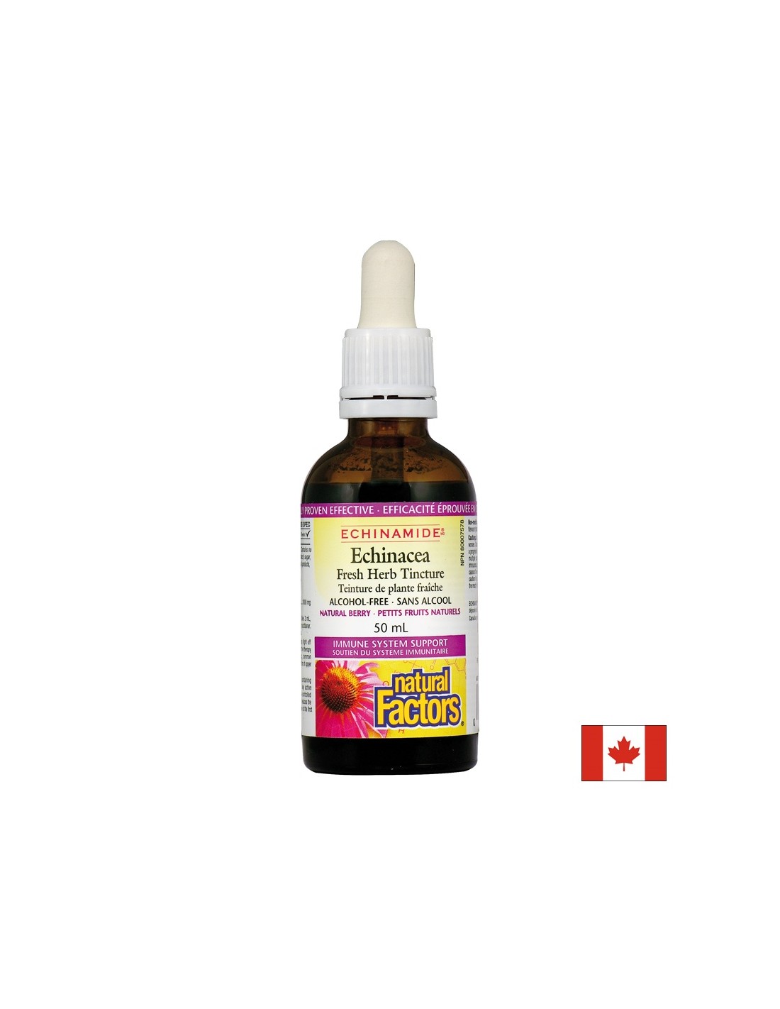 Echinacea svježa biljka tinktura 1000 mg - 50 ml