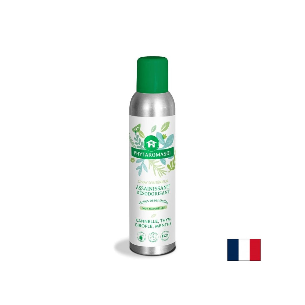 Osvježivač zraka (s cimetom, klinčići, timijan, miris metvice), 250 ml