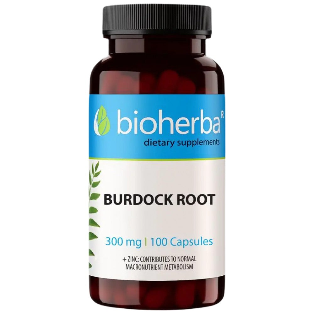 Korijen burdocka 400 mg - 100 kapsula