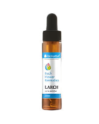 Bach kaplje larch 20 ml