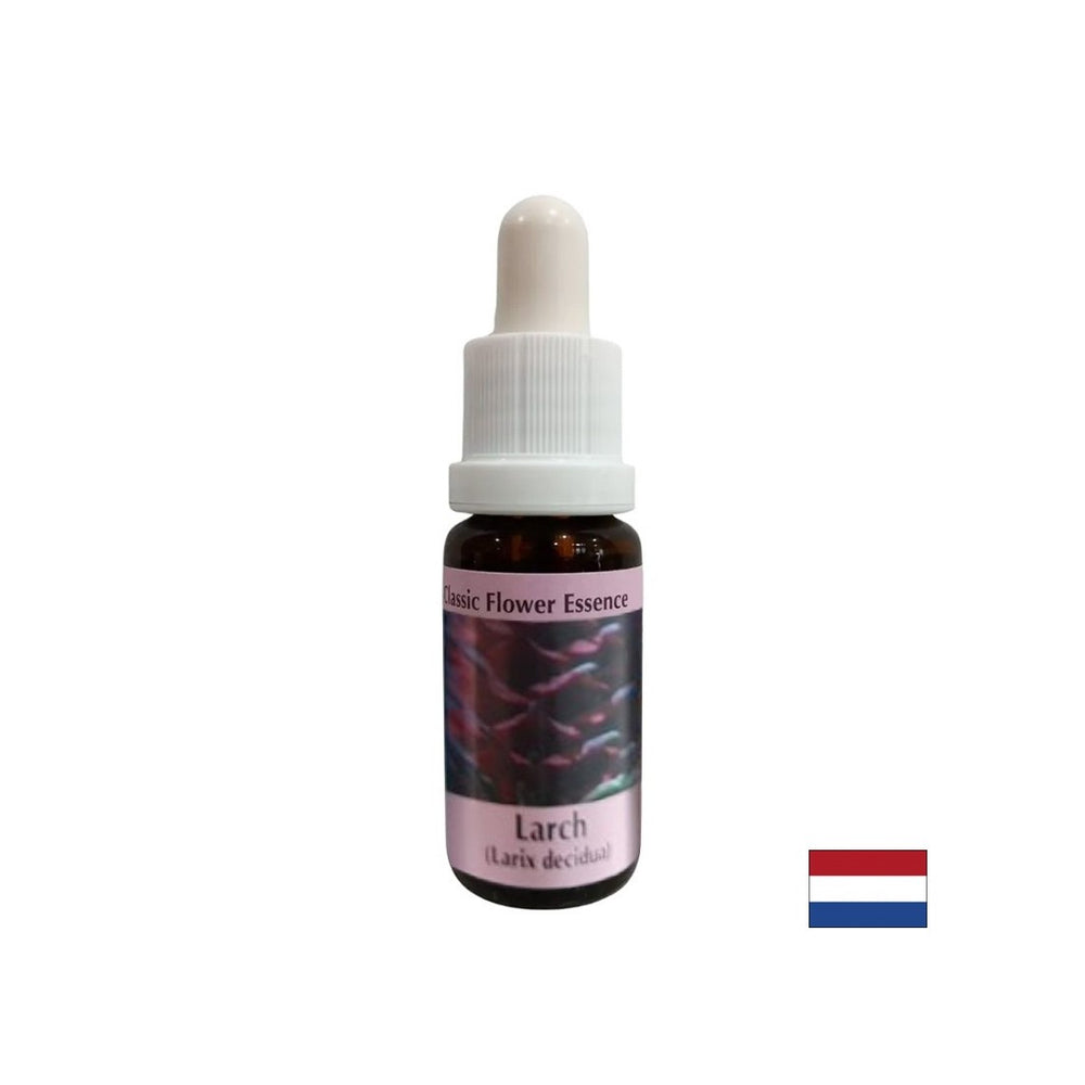 Povećava samopoštovanje - Larch Essence br. 19, padne 15 ml