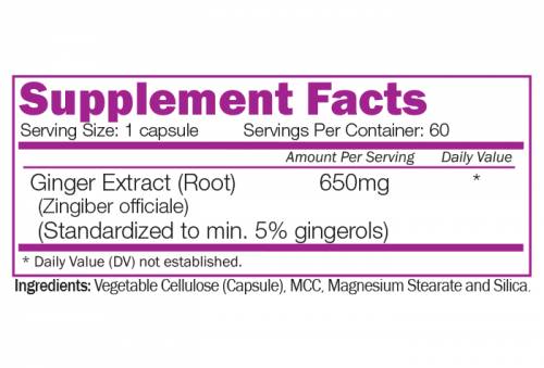 Ekstrakt korijena đumbira 650 mg - 60 kapsula