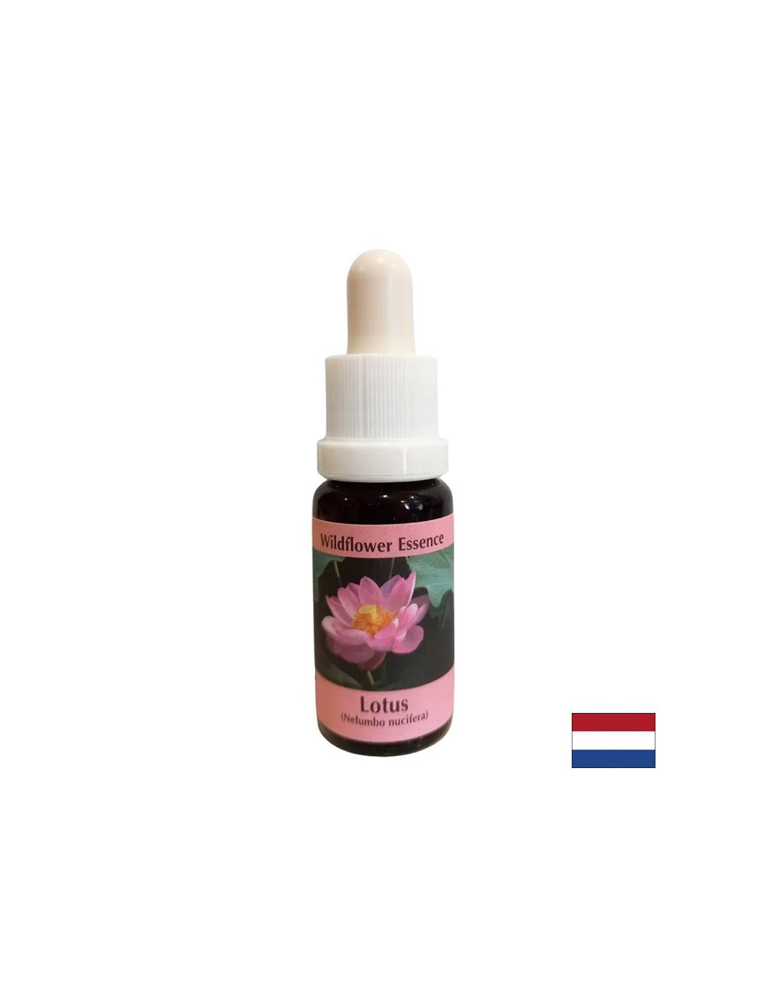 Harmonizira čakre i otvara um - Essence Indian Lotus br. 30, padne 15 ml