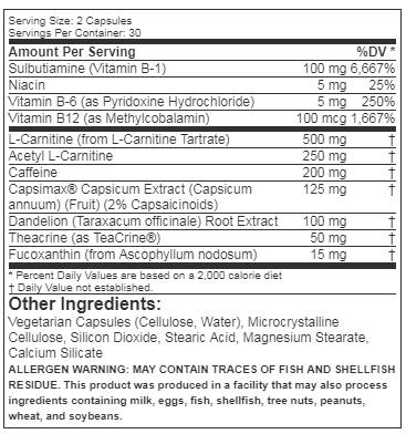 Shred Sport 60 kapsula