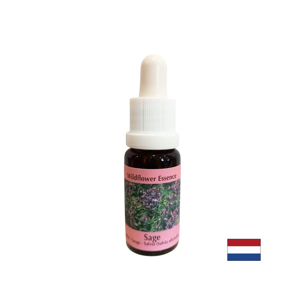Obnavlja ritam i podržava adaptaciju - Sage Essence br. 36, padne 15 ml