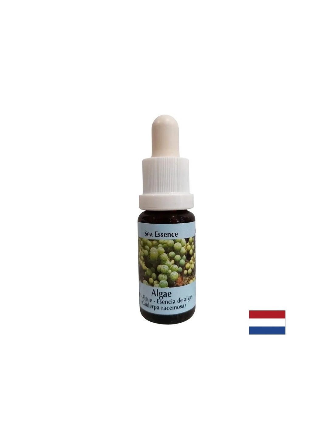 Stimulira samoizlječenje - alge esencija br. 1, padne 15 ml