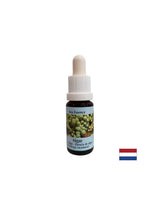 Stimulira samoizlječenje - alge esencija br. 1, padne 15 ml