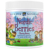 Nordijske bobice multivitamin - 120 guma
