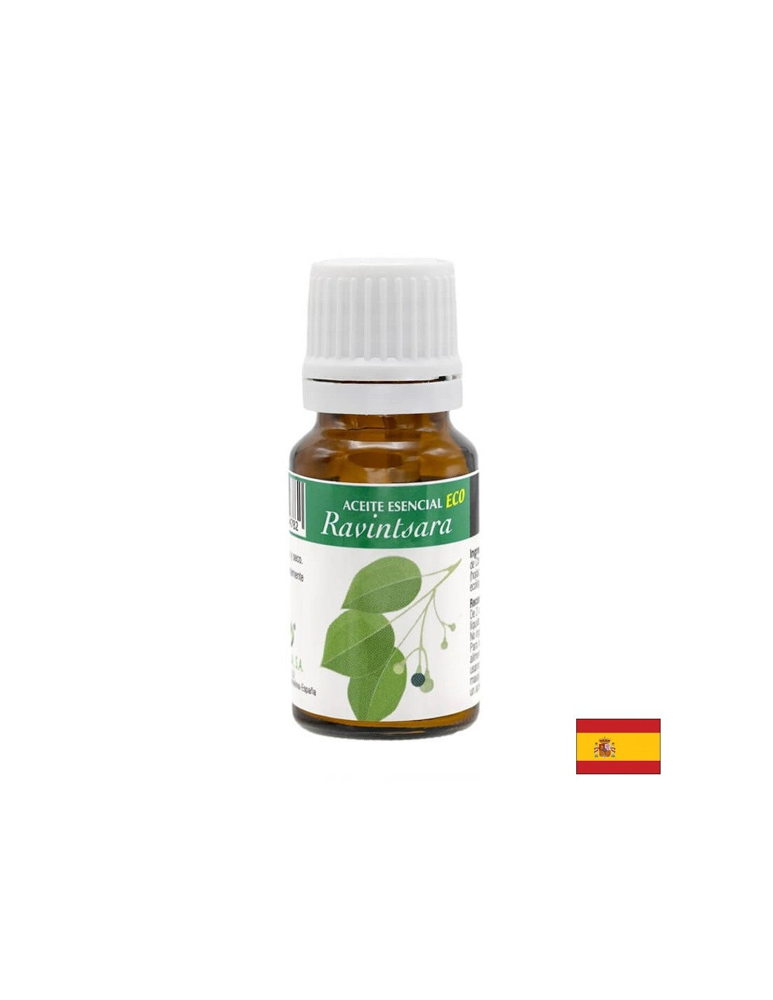 Eterično ulje drveta kamfora, 10 ml