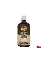 Imunitet - Echinacea, 100 ml tinkture