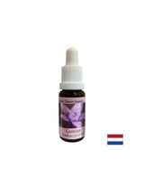 Daje samopouzdanje - Gentian Essence br. 12, kapi 15 ml
