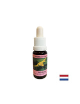 Potiče svjesnu promjenu - Essence White Mistletoe br. 12, kapi 15 ml