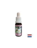 Pospješuje komunikaciju - Esencija močvarnog irisa, kapi 15 ml