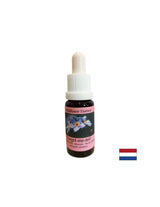 Uklanja negativne energije i strahove - Forest Forget-me-not Essence br. 19, kapi 15 ml