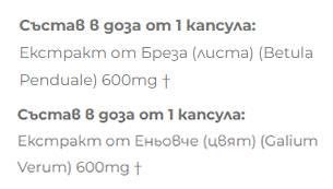 Ekstrakt breze + breza - 2 x 60 kapsula