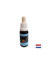 Potiče samopouzdanje i individualnost - Citrine Essence br. 20, kapi 15 ml