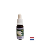 Za spiritualnu svjesnost - Victoria Regia Essence br. 20, 15 ml kapi