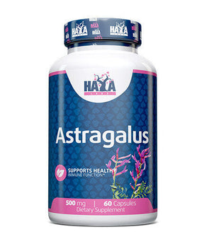 Astragalus 500mg. / 60 caps. - Nutra Best Europe