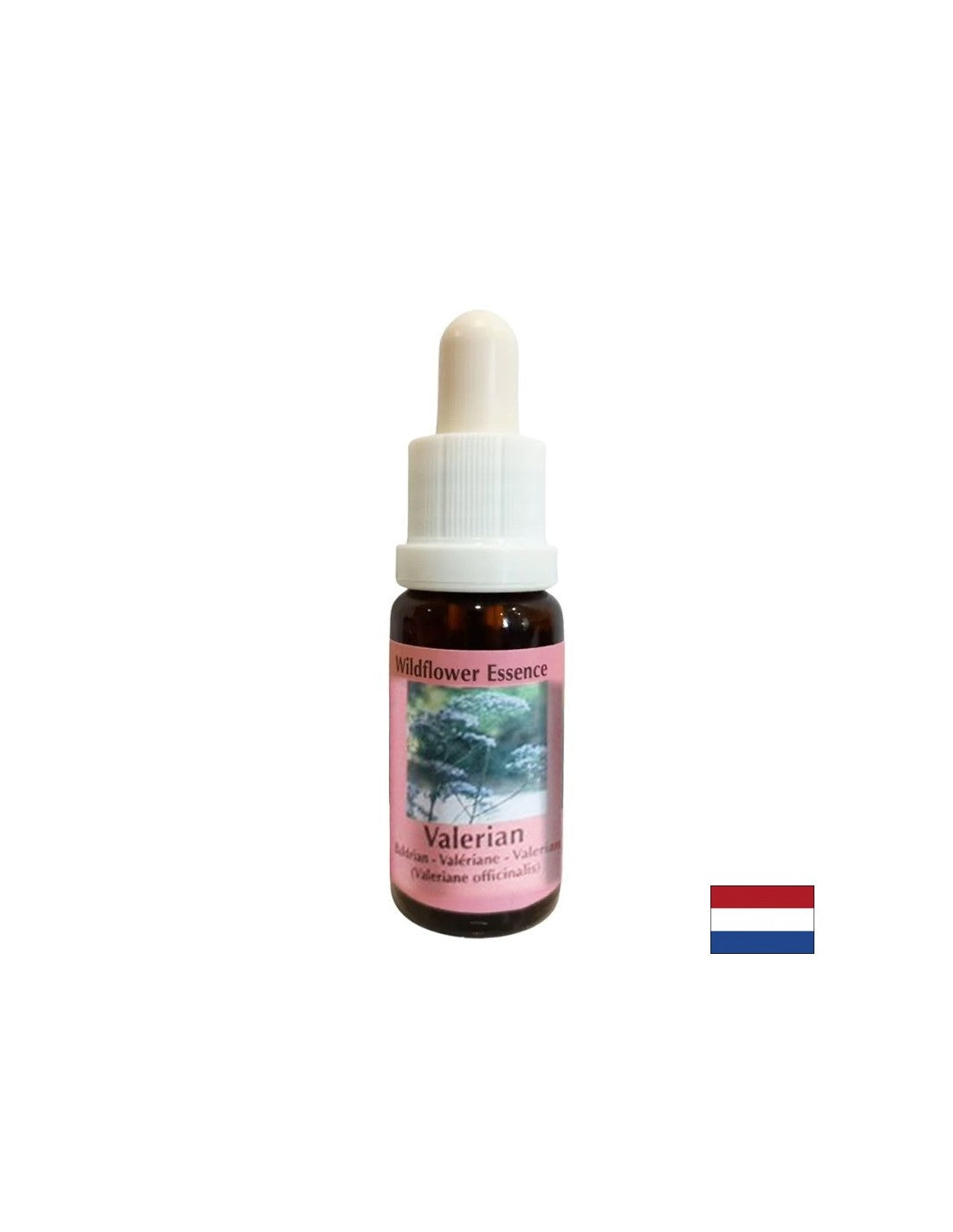 Smiruje tijelo i duh, pomaže kod nesanice i stresa - Esencija valerijane br. 21, kapi 15 ml
